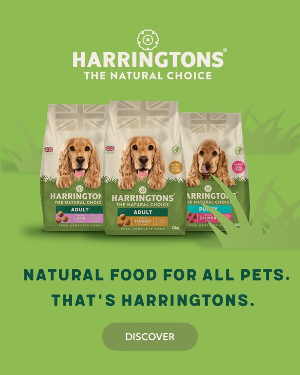 Harringtons